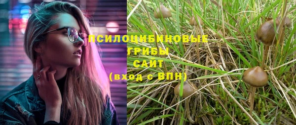 мет Ладушкин