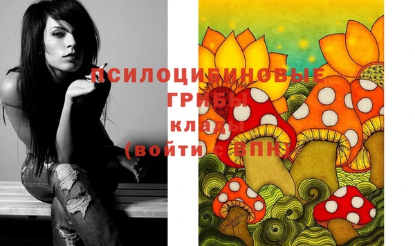apvp Лабытнанги