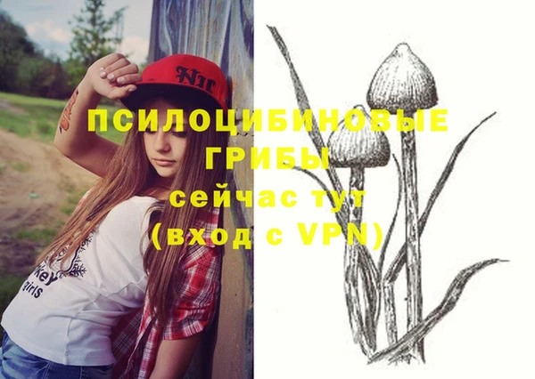 apvp Лабытнанги