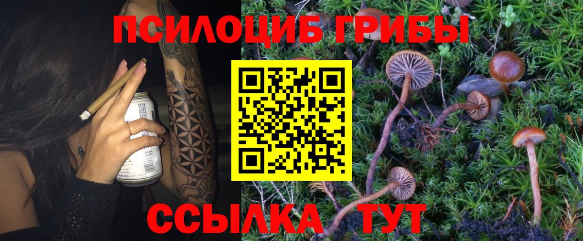 Псилоцибиновые грибы MAGIC MUSHROOMS Шебекино