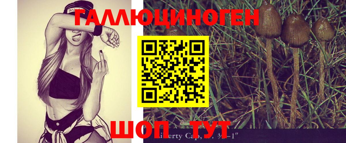 Шебекино  Псилоцибиновые грибы GOLDEN TEACHER  Псилоцибиновые грибы мухоморы  Вход с VPN 